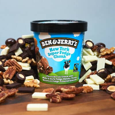 Pint of New York Super Fudge Chunk