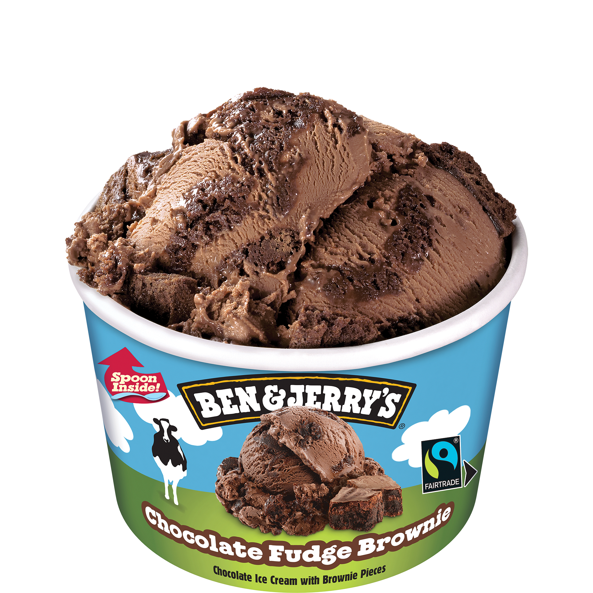 Chocolate Fudge Brownie™ Original Ice Cream Mini Cups